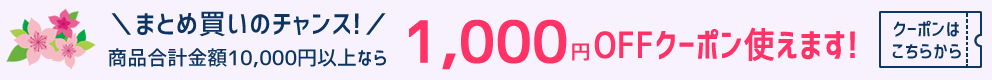 1,000OFFクーポンでさらに激安